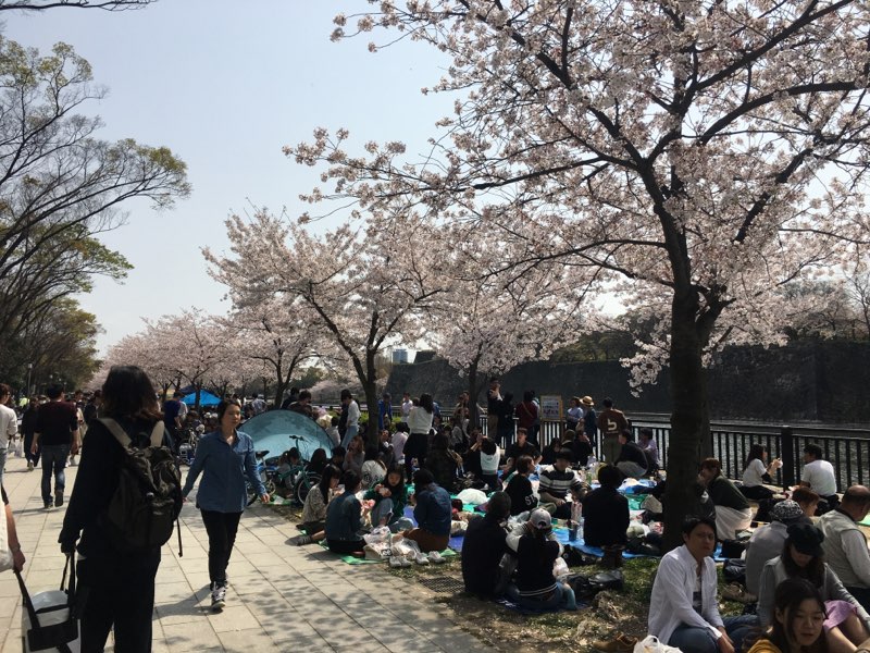 f:id:A-BOUT:20180401160748j:plain