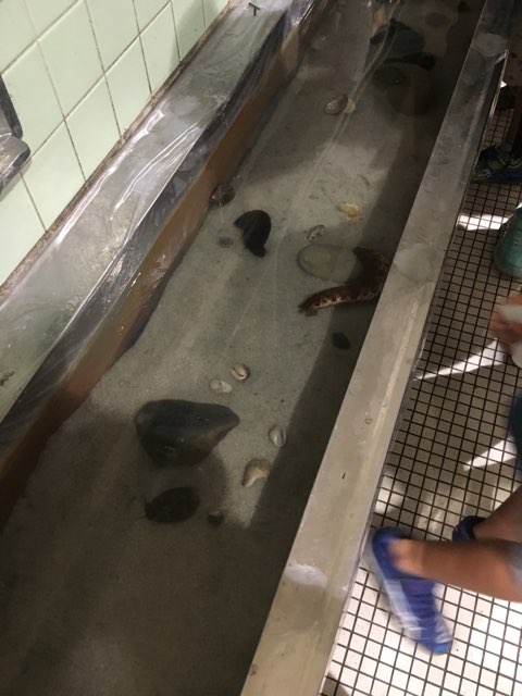 f:id:A-BOUT:20180814231615j:plain