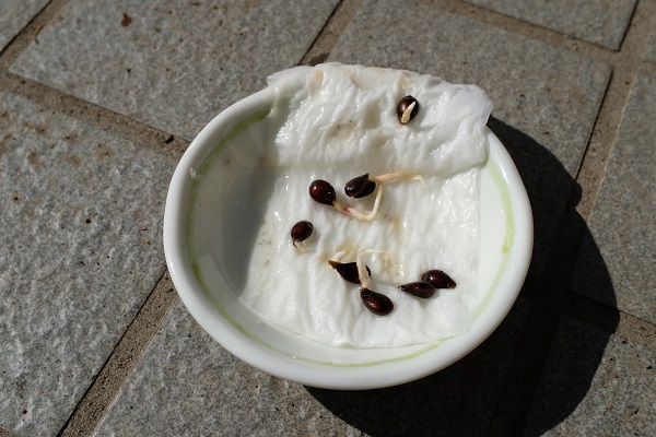 f:id:A-Key:20190218224913j:plain f:id:A-Key:20190218224913j:plain