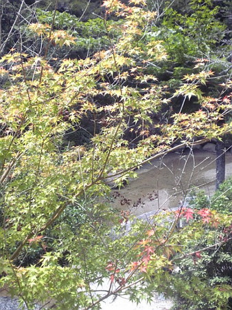 f:id:A-Z:20080815195731j:image