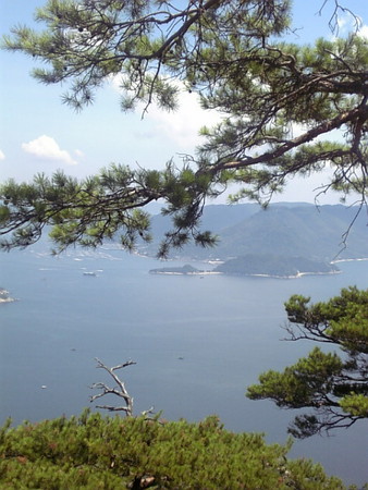 f:id:A-Z:20080815195734j:image