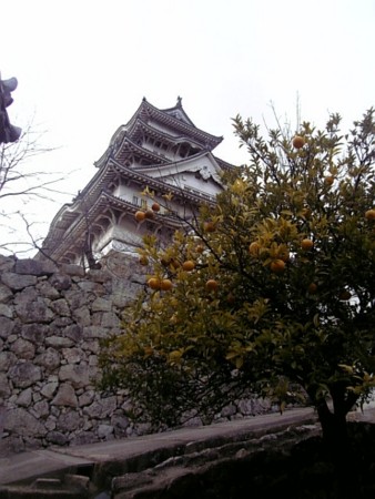 f:id:A-Z:20090111235814j:image