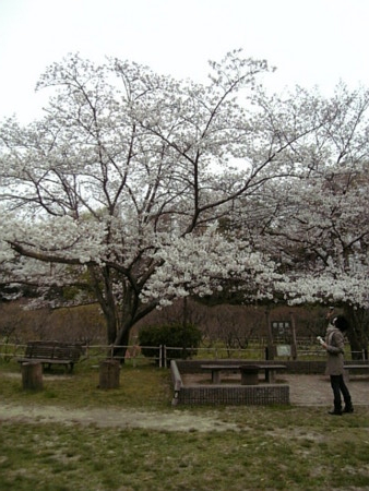 f:id:A-Z:20090404205018j:image f:id:A-Z:20090404205018j:image