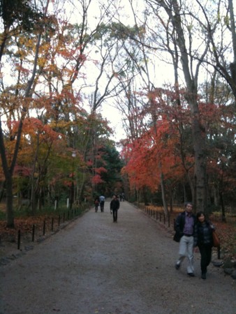 f:id:A-Z:20091217231928j:image