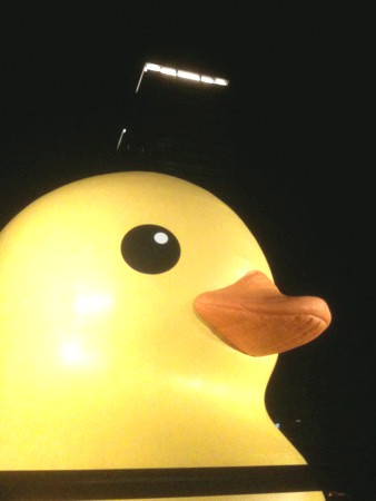 f:id:A-Z:20101219122538j:image