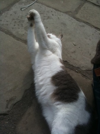f:id:A-Z:20110205220536j:image