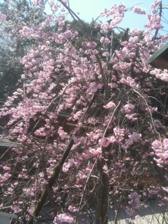 f:id:A-Z:20110410190655j:image