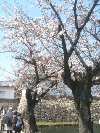 f:id:A-Z:20110410190658j:image