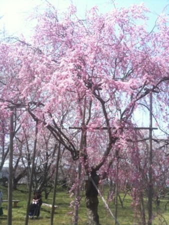 f:id:A-Z:20110410190708j:image