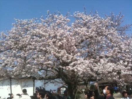 f:id:A-Z:20110410190729j:image