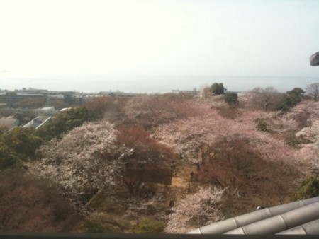f:id:A-Z:20110410190856j:image
