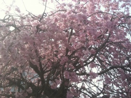 f:id:A-Z:20110410190926j:image