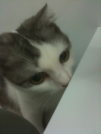 f:id:A-Z:20111007210539j:image