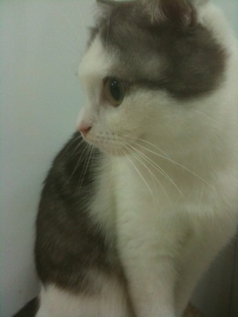 f:id:A-Z:20111007210548j:image