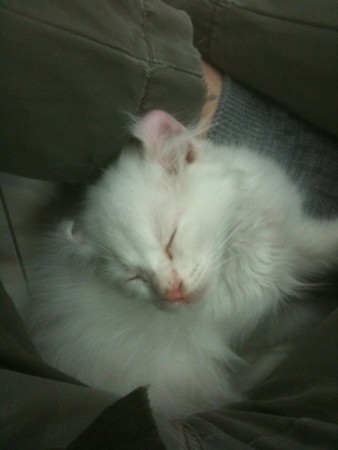 f:id:A-Z:20111007210559j:image