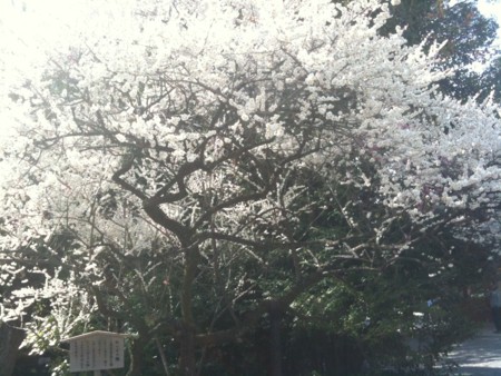 f:id:A-Z:20130330000722j:image