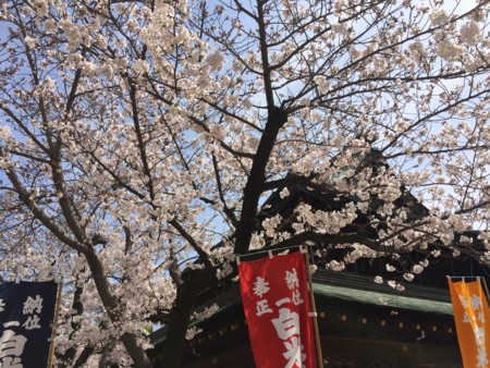 f:id:A-Z:20140331182604j:image