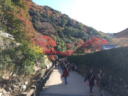 f:id:A-Z:20141122155046j:image