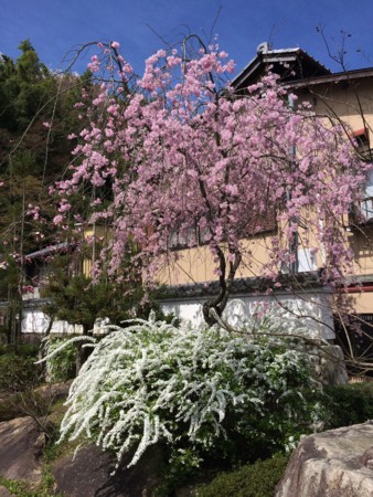 f:id:A-Z:20150509091731j:image