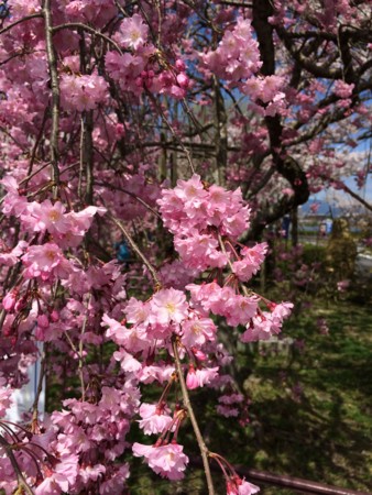 f:id:A-Z:20150509091733j:image