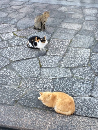 f:id:A-Z:20150509093657j:image