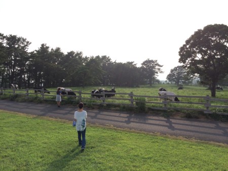 f:id:A-Z:20150816213010j:image f:id:A-Z:20150816213010j:image