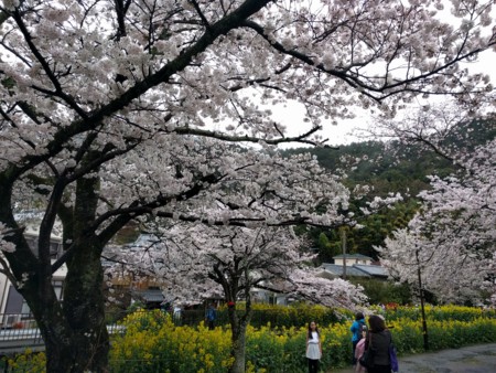 f:id:A-Z:20170412211428j:image