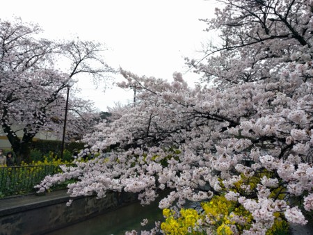 f:id:A-Z:20170412211430j:image