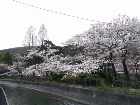 f:id:A-Z:20170412211431j:image
