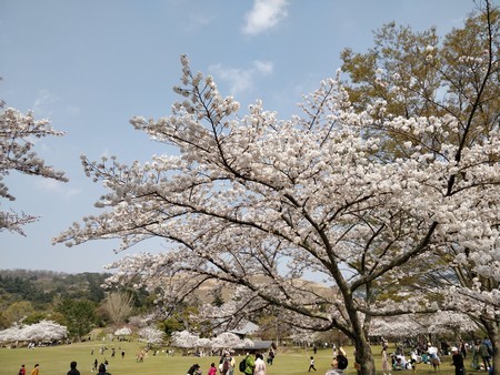 f:id:A-Z:20190410200548j:image f:id:A-Z:20190410200548j:image