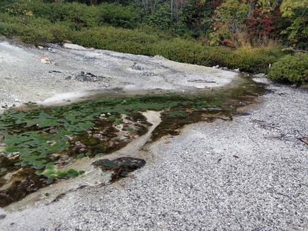 f:id:A-Z:20191117224039j:image f:id:A-Z:20191117224039j:image