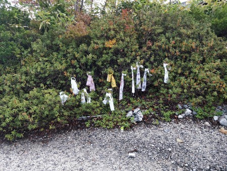 f:id:A-Z:20191117224055j:image f:id:A-Z:20191117224055j:image