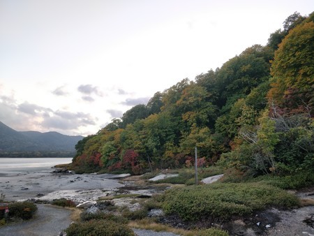 f:id:A-Z:20191117224111j:image f:id:A-Z:20191117224111j:image