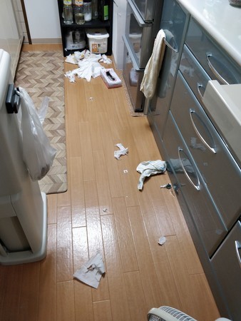 f:id:A-Z:20201022154611j:image