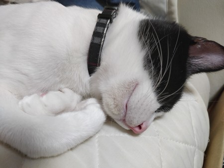 f:id:A-Z:20201022154649j:image
