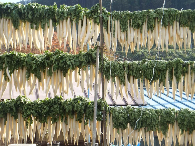 f:id:A-chi-family:20131116223536j:image:w360