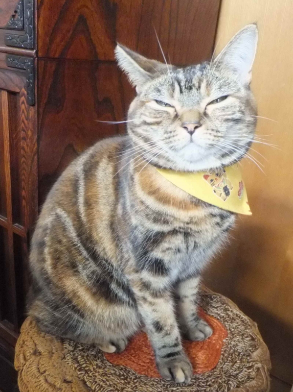 f:id:A-chi-family:20131231010839j:image:w360