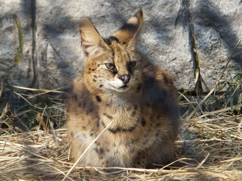 f:id:A-chi-family:20140312000823j:image:w360 f:id:A-chi-family:20140312000823j:image:w360