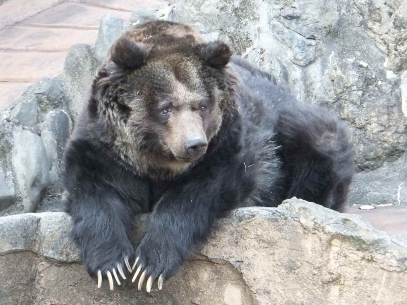 f:id:A-chi-family:20140313011557j:image:w360 f:id:A-chi-family:20140313011557j:image:w360