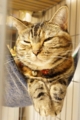 20140706023259