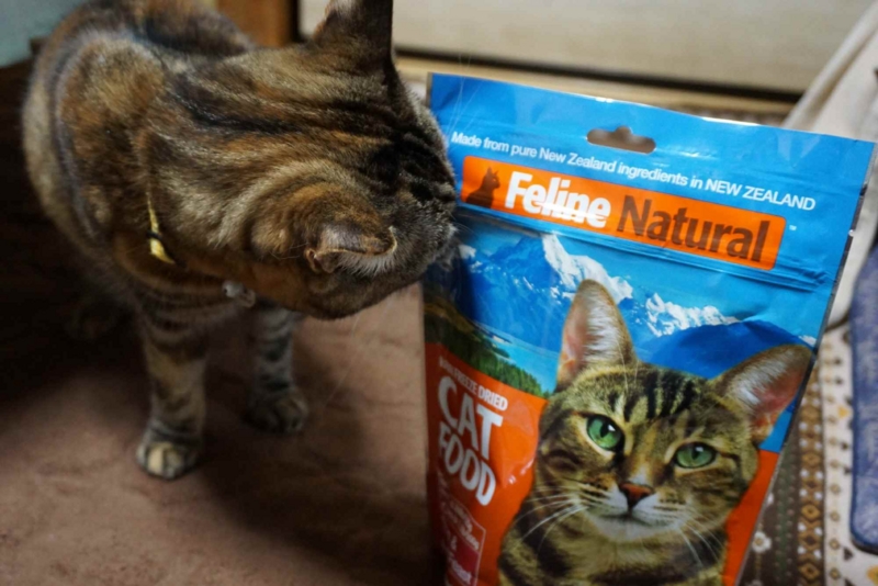 f:id:A-chi-family:20150407002200j:image:w420 f:id:A-chi-family:20150407002200j:image:w420