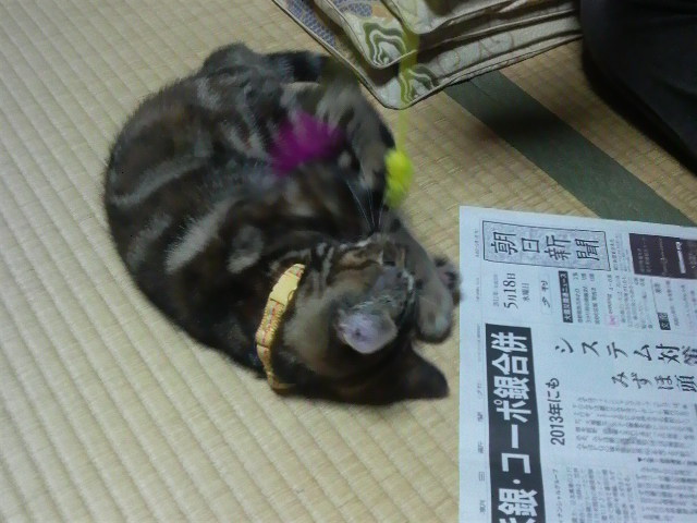 f:id:A-chi:20110518211100j:image:w360