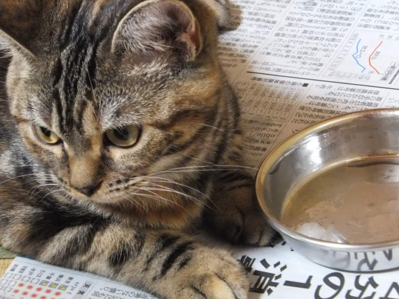 f:id:A-chi:20110715225529j:image:w360