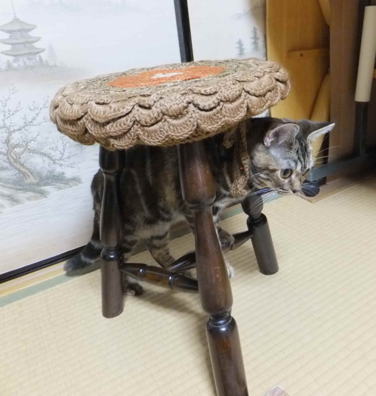 f:id:A-chi:20110820011426j:image:w360