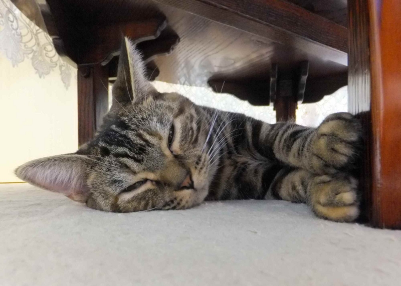 f:id:A-chi:20120121015220j:image:w360