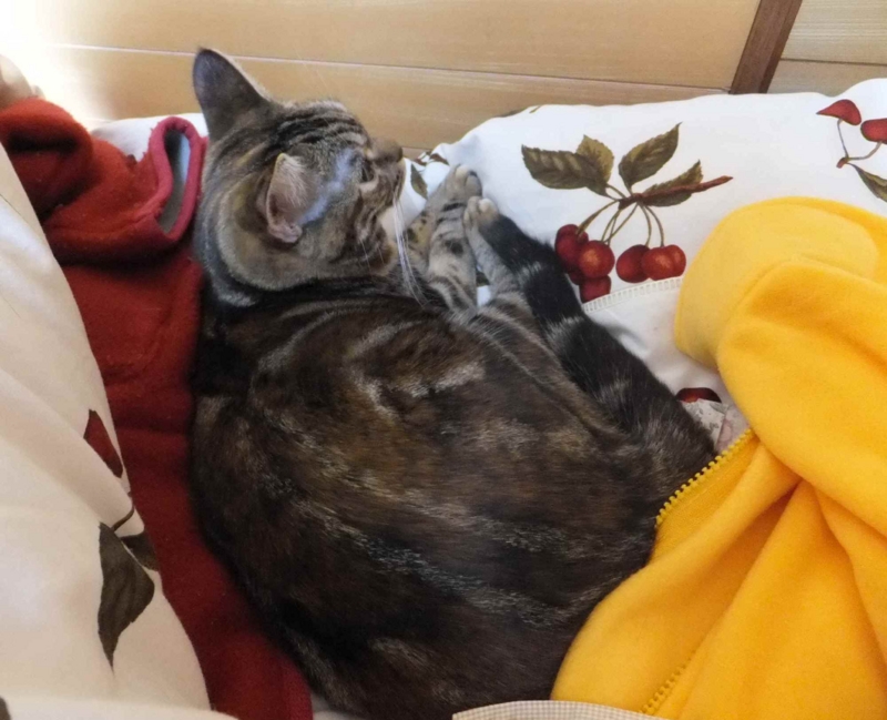 f:id:A-chi:20120122002001j:image:w360 f:id:A-chi:20120122002001j:image:w360