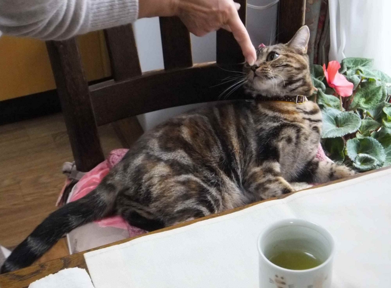 f:id:A-chi:20120122231246j:image:w360 f:id:A-chi:20120122231246j:image:w360