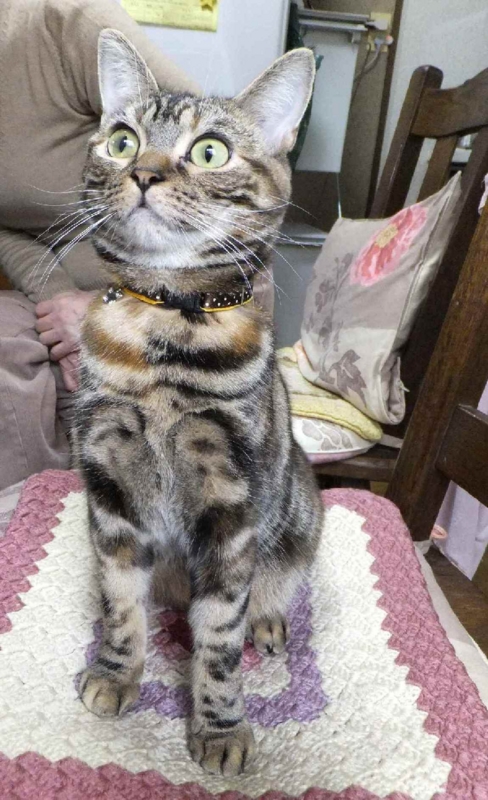 f:id:A-chi:20120128023840j:image:w360