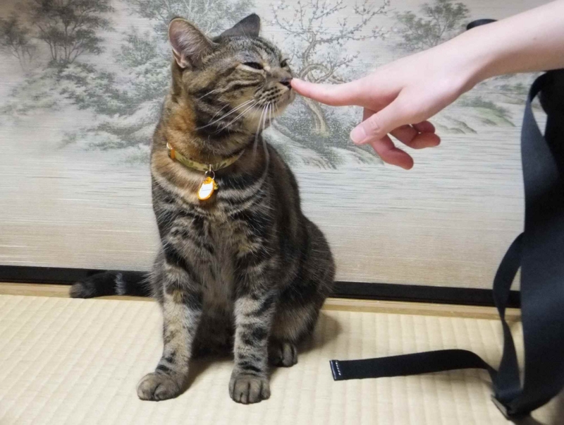 f:id:A-chi:20120920013826j:image:w360