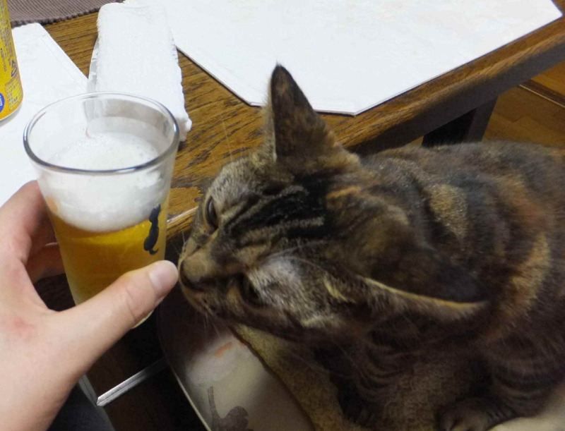 f:id:A-chi:20121006005900j:image:w360